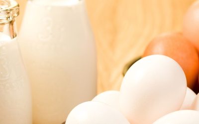 Development of multi-allergen site and first production of egg and milk challenge meals